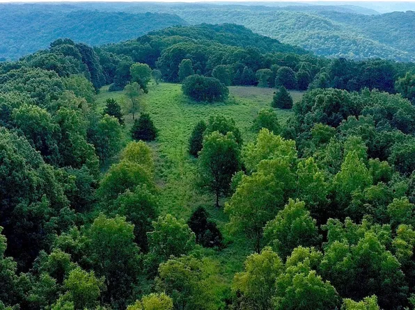 000 Red Bridge Rd, Ozark, MO 65721