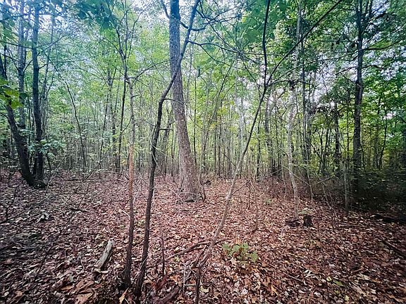 5th image of 0 Blue Sewanee Rd