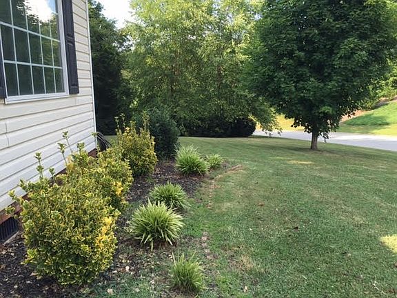 3rd image of 266 Augustine Dr