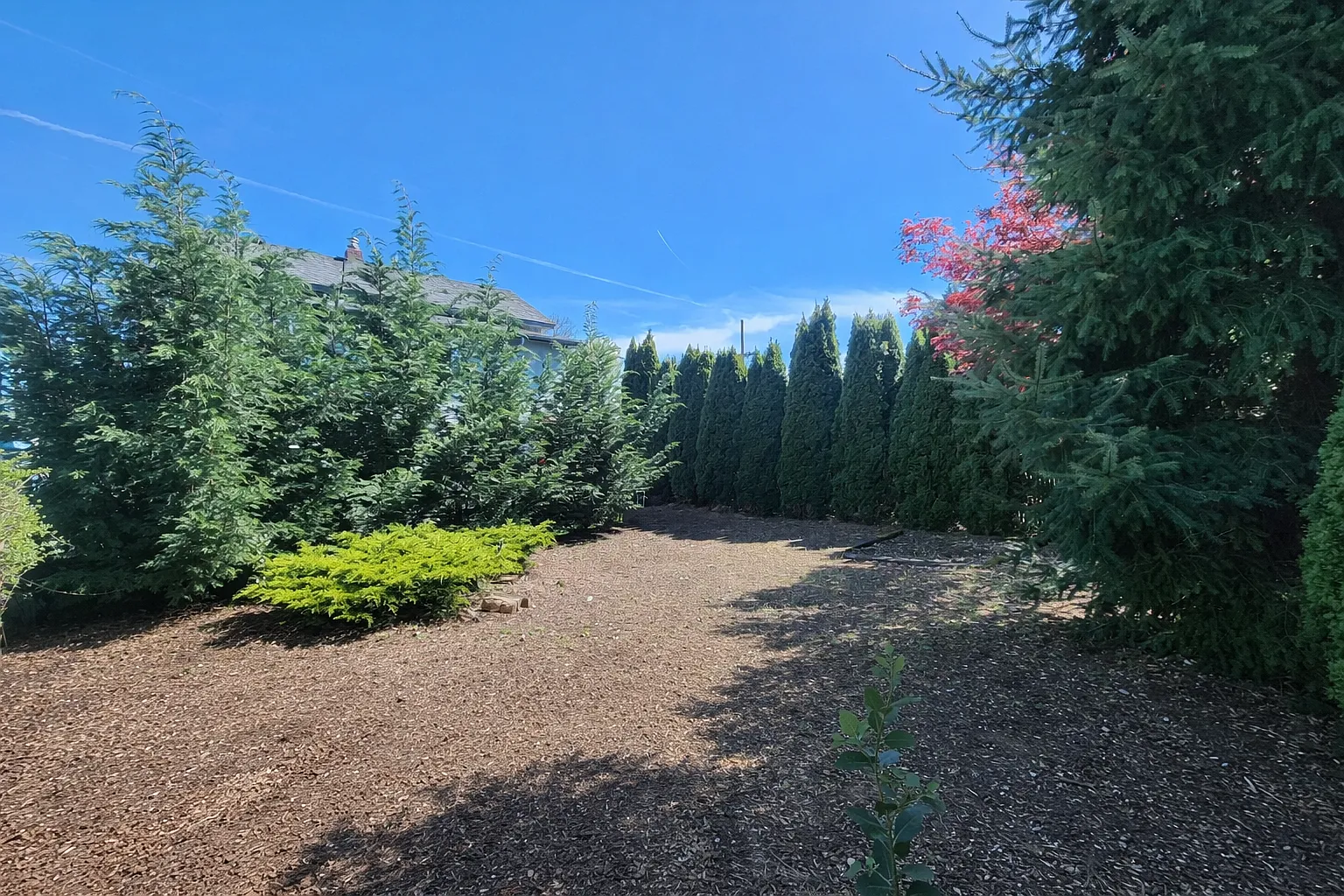 1 bed, 800 sqft, $2,600 — Photo 3