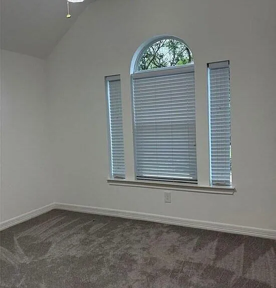 3818 Treasure Island Dr — Photo 10