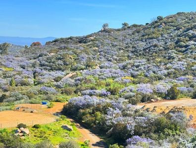 0 Muth Valley Rd, Lakeside, CA, 92040