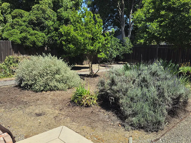 1308 B St — Photo 24