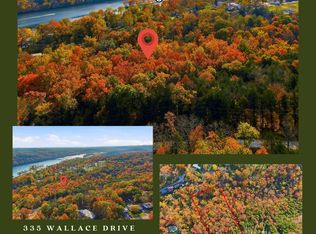 335 Wallace Drive, Rockaway Beach, MO 65740