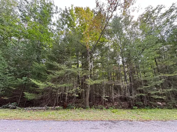 LOT 22 Renwick Cir E, Presque Isle, MI 49777