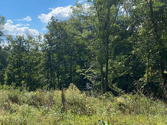 3rd image of 602 Will Robbins Ln