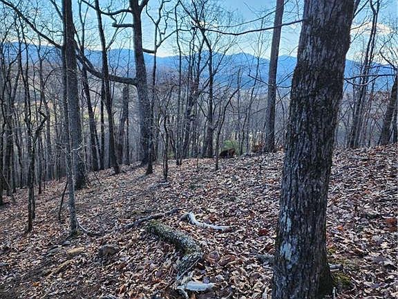 4th image of 0 Trackrock Gap Rd #1