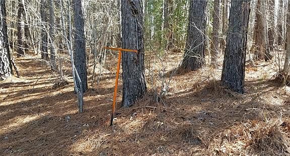 4th image of 199 Windingwood Dr #10