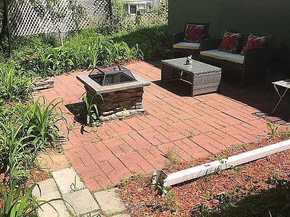 Back yard