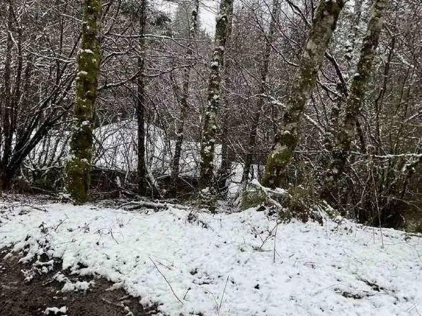 22510 NE Alder Falls Rd, Battle Ground, WA 98604