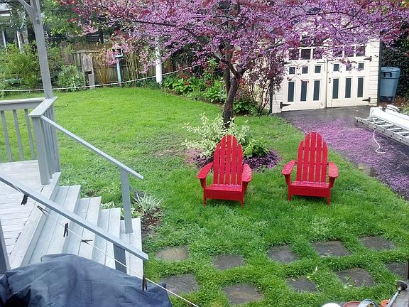 Backyard in spring