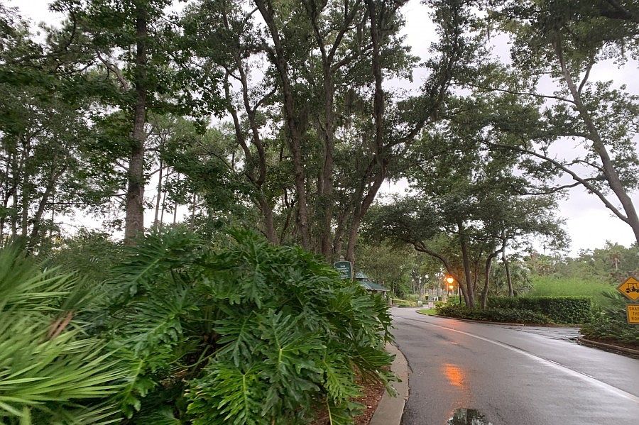 2nd image of 113 Lamp Lighter Ln