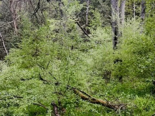 Suber Rd, Montrose, PA 18801