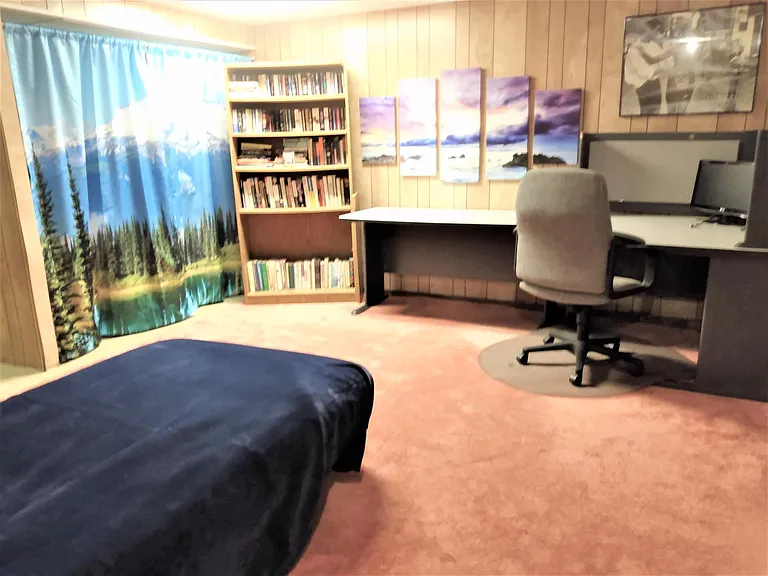 Bonus room in the basement
