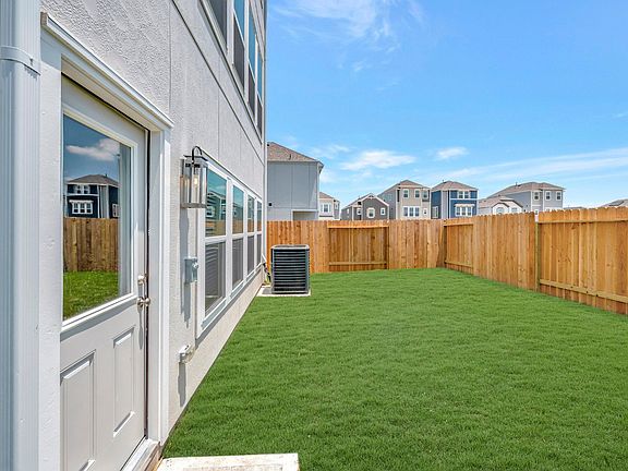 Backyard - May 13, 2026