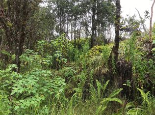 11 1744th #6, Mountain View, HI 96771