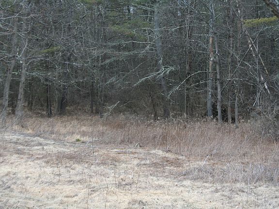 3rd image of 41 Rubin Hill Road