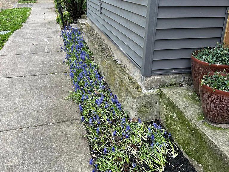 Newly installed perennial flowers have recently bloomed. Perennials were deliberately chosen to be low maintenance; landlord responsible for landscaping. Potted plants provided by landlord, but more are welcome. Brand new mailbox shown.