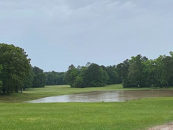 View of Pond and 40 Acres