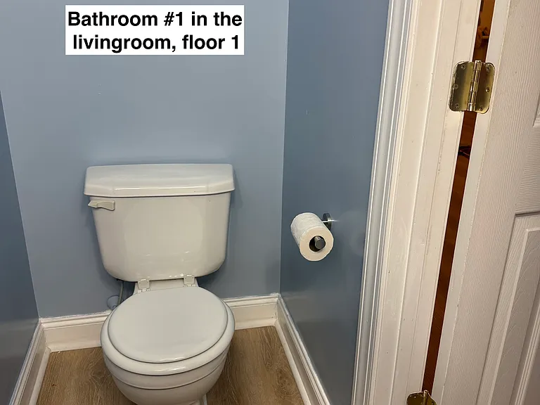 1290 Orange Leaf Ct — Photo 12
