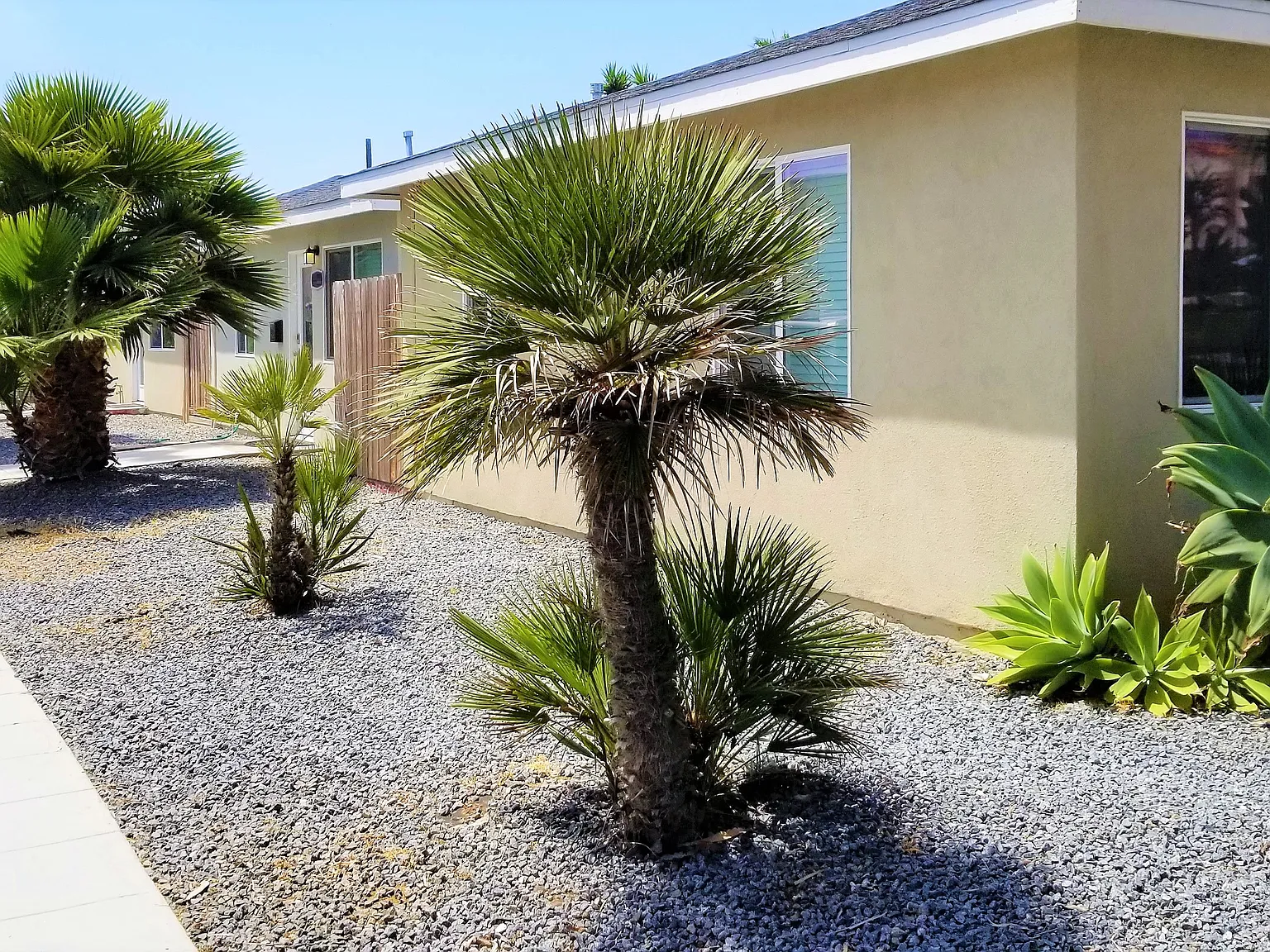 1440 Sunset Cliffs Blvd — Photo 2