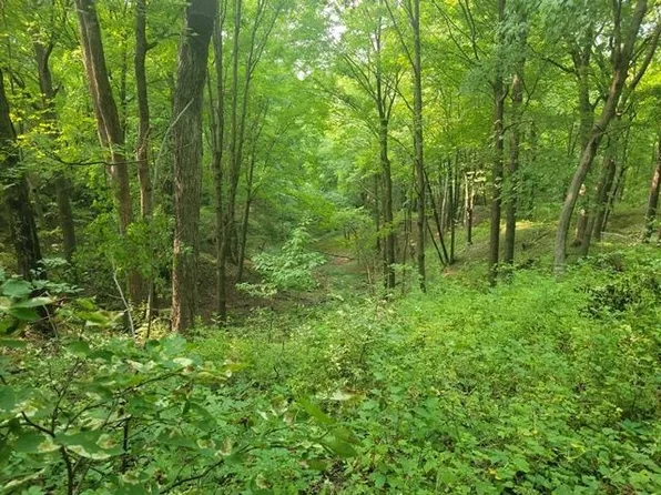 County Rd W, North Freedom, WI 53951