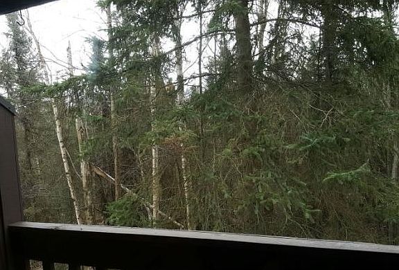 View from balcony