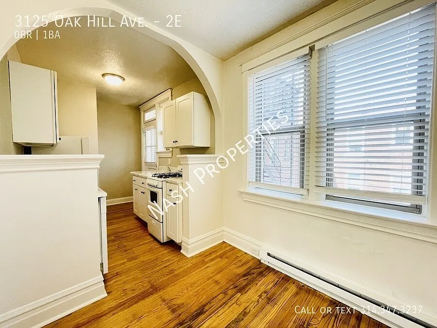 $875 - Large studio apartment in Tower Grove South Neighborhood with in-unit laundry — Photo 2