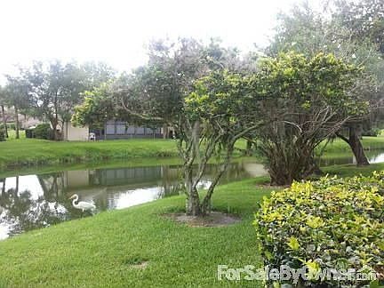Water Front
						:
						View from back door