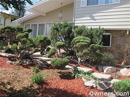 Cedar wood chips, pruned juniper bushes
