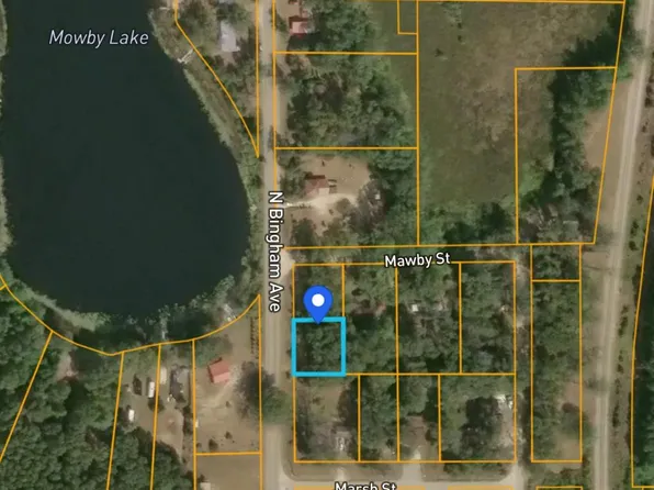 10846 N Bingham Ave, Bitely, MI 49309