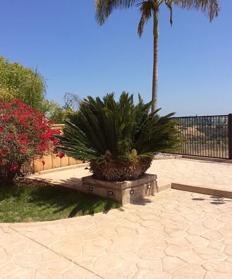 6243 Seacrest View Rd — Photo 53