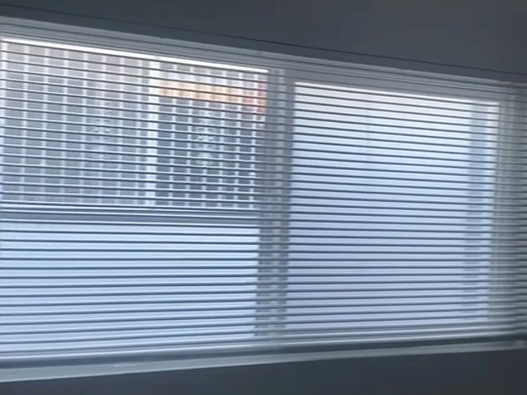 Window