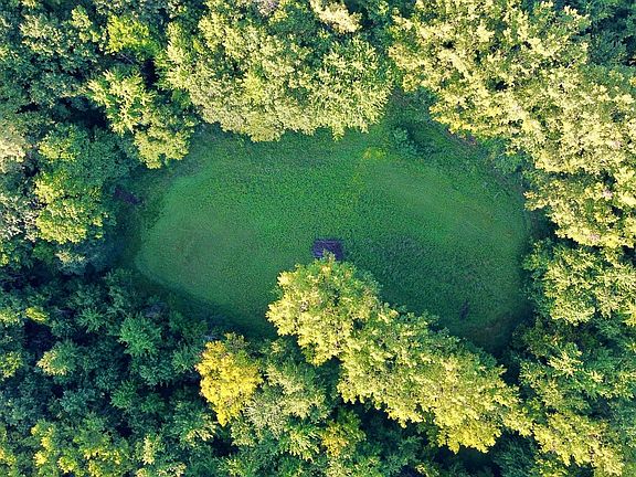 2nd image of 42nd Ave