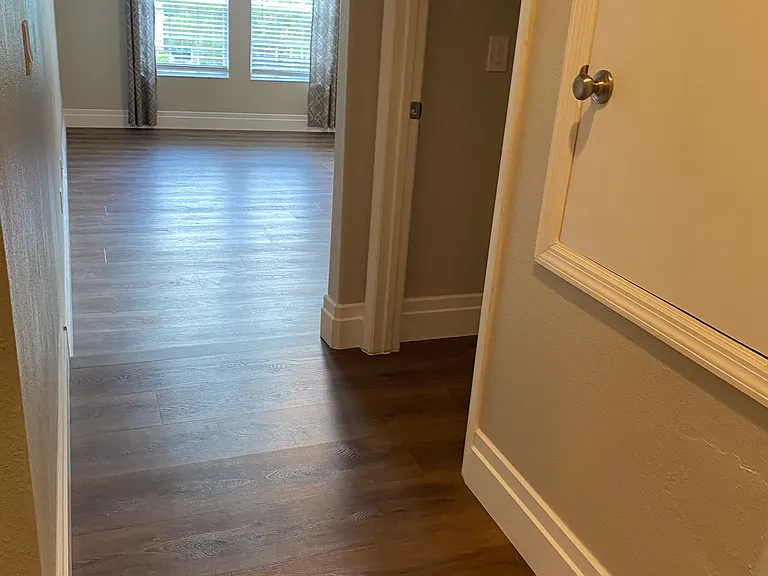 Bonus Room + Storage Closet