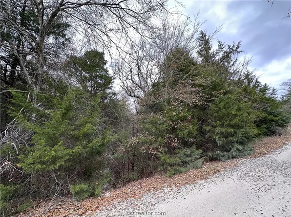 Beavers Cv, Thornton, TX 76687