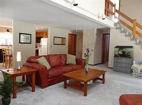 Lots of Windows & Skylights