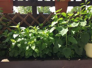 7899 Allison Way APT 104, Arvada, CO 80005