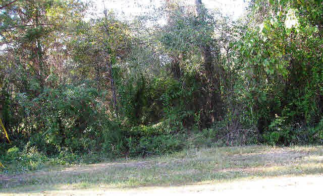 1st image of 0 Magnolia Church Rd