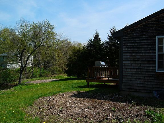 side yard with removed tree