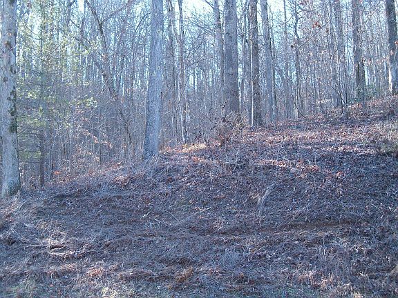 5th image of 432 Hidden Oaks Rd Lot 432