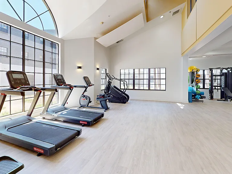 Gym Treadmill