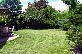 Private Back Yard