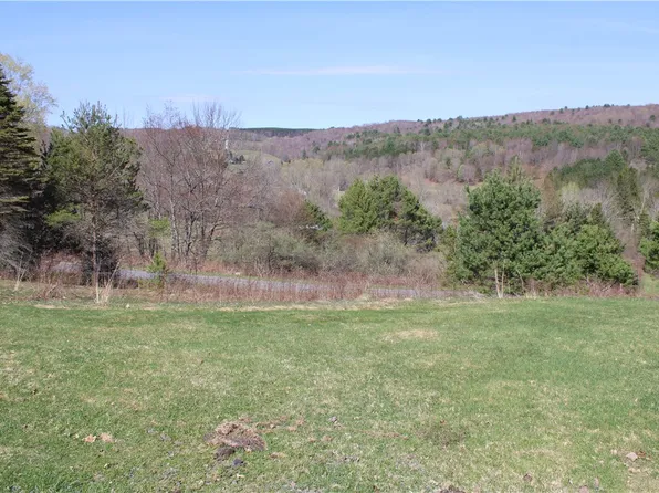 607 S America Rd, Worcester, NY 12197