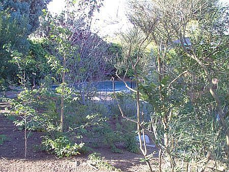 1/4 acre lot