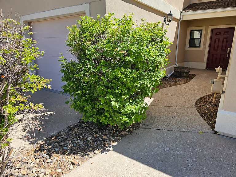6937 Gayle Lyn Ln — Photo 33