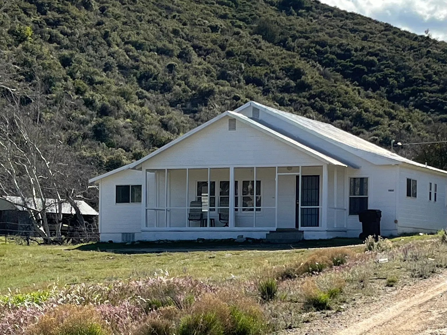 6 Shooter Cyn — Photo 1