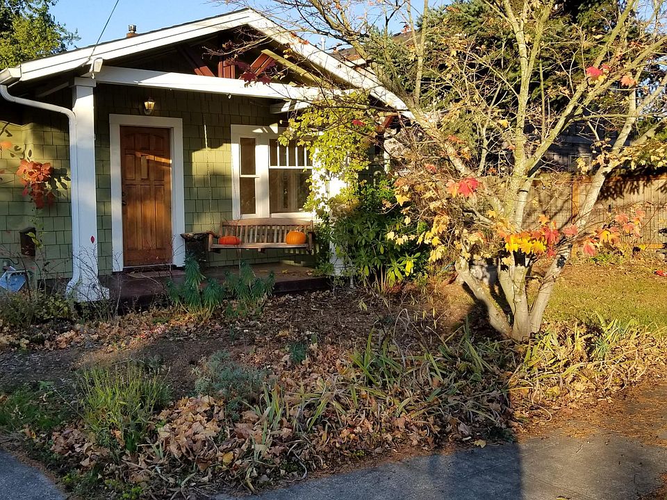 South-Facing Garden