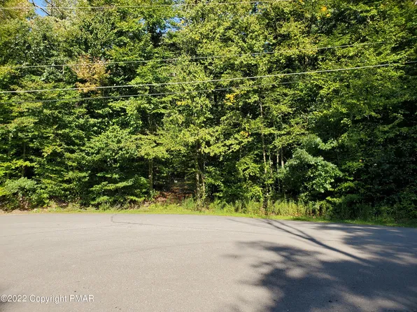 Blue Shutters Rd, Moscow, PA 18444