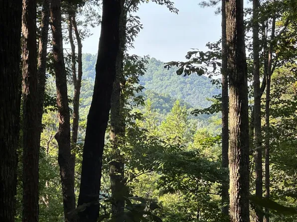LOT-27R Tanager Trl, Ellijay, GA 30536